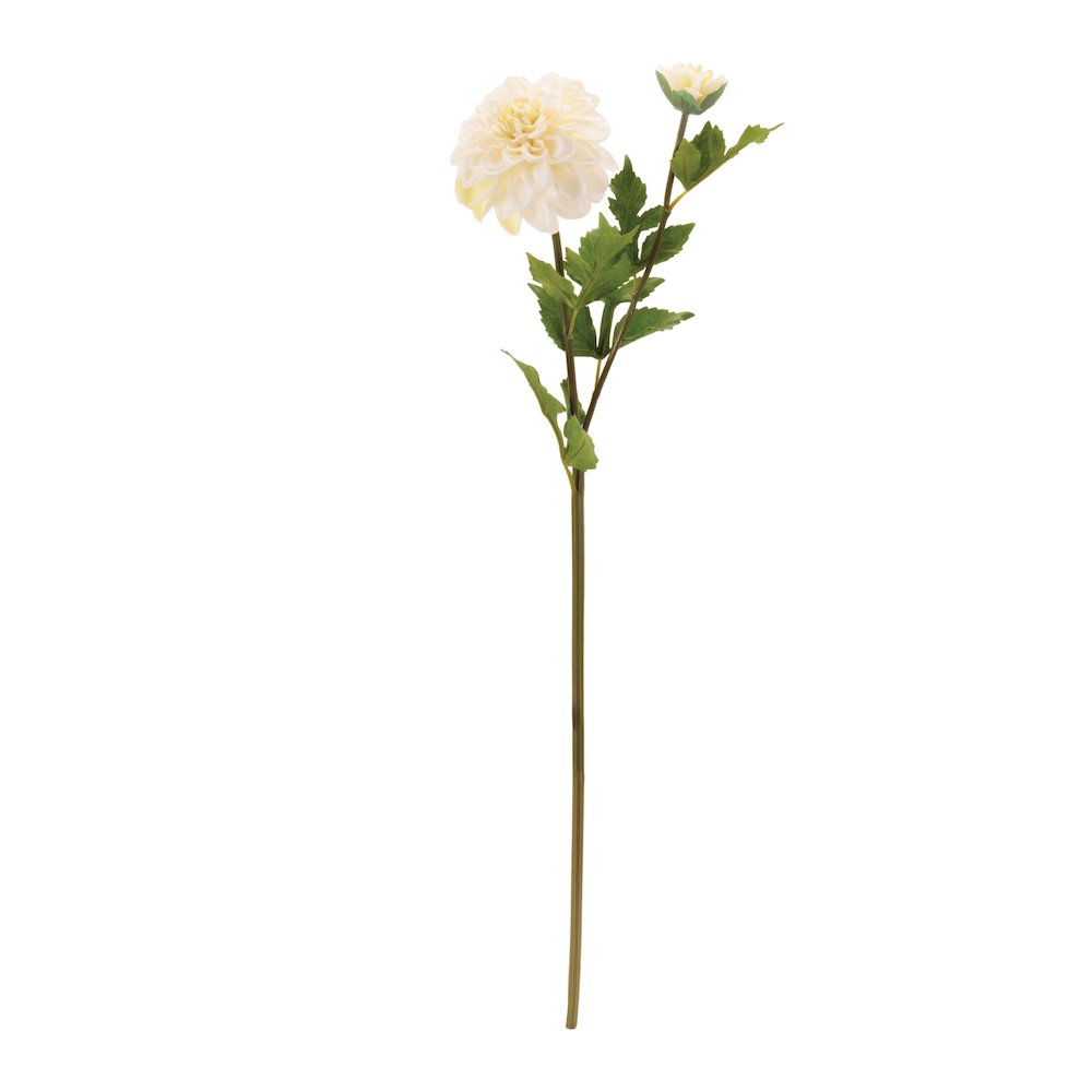 Dahlia Flower Stem (Set of 6). Picture 2