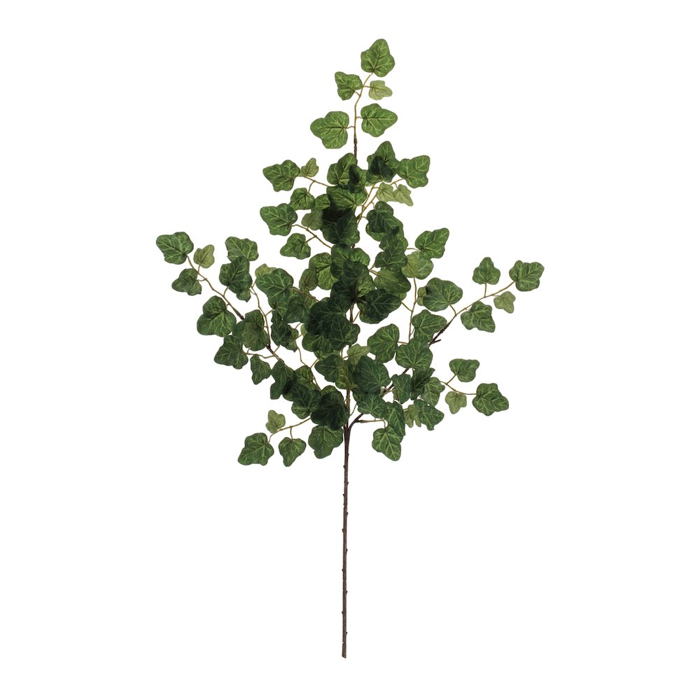 Ivy Foliage Spray (Set of 6). Picture 2