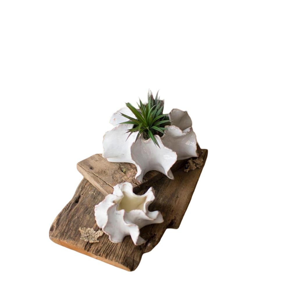 Set Of Two Organic Ceramic Planters. Picture 1