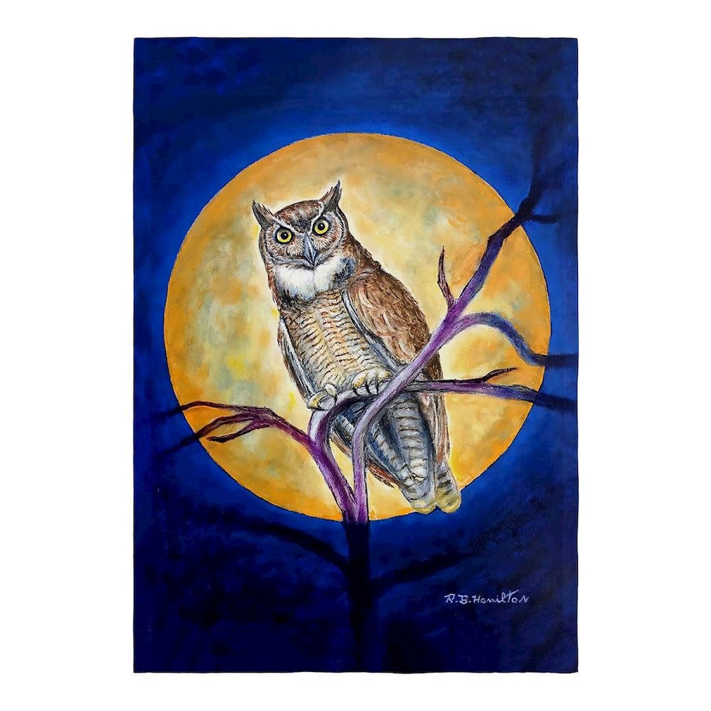 Owl in Moon Flag 12.5x18. Picture 1