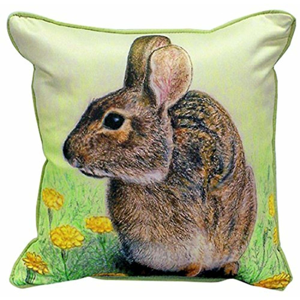 Rabbit Extra Large Zippered Pillow 22x22. Picture 1