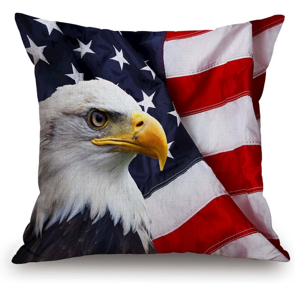 US Flag Eagle No Cord Pillow 18x18. Picture 1