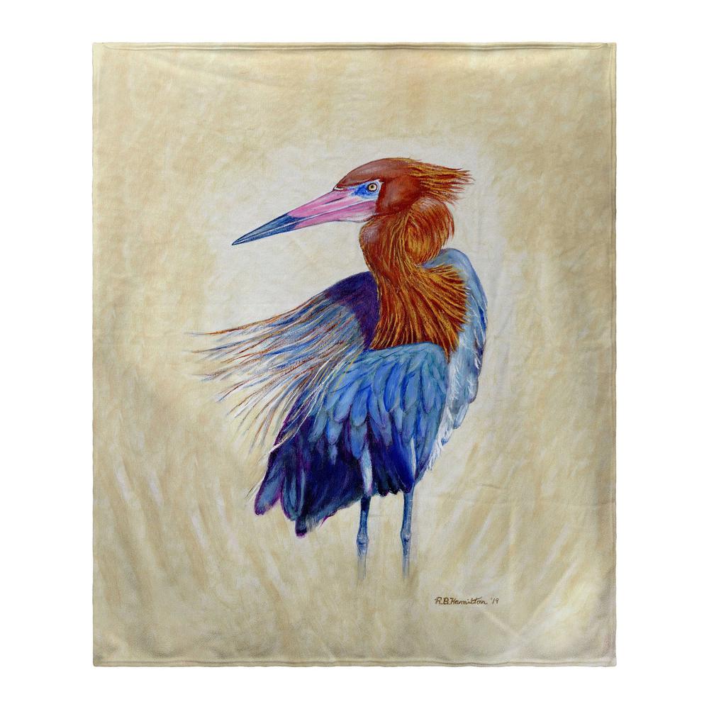 Reddish Egret Portrait Bk. Picture 1
