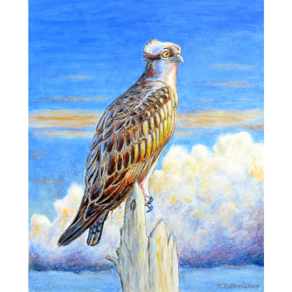 Osprey Storm Beach Towel. Picture 1