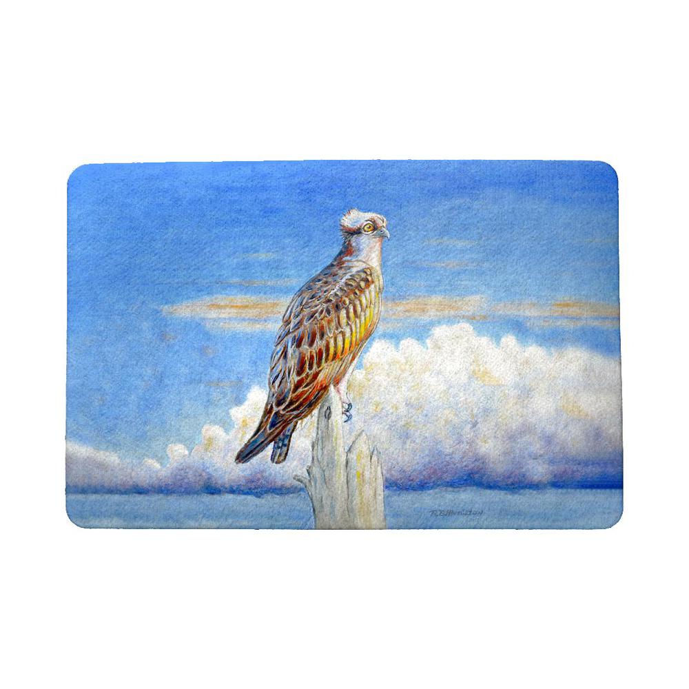 Osprey Storm Door Mat 18x26. Picture 1