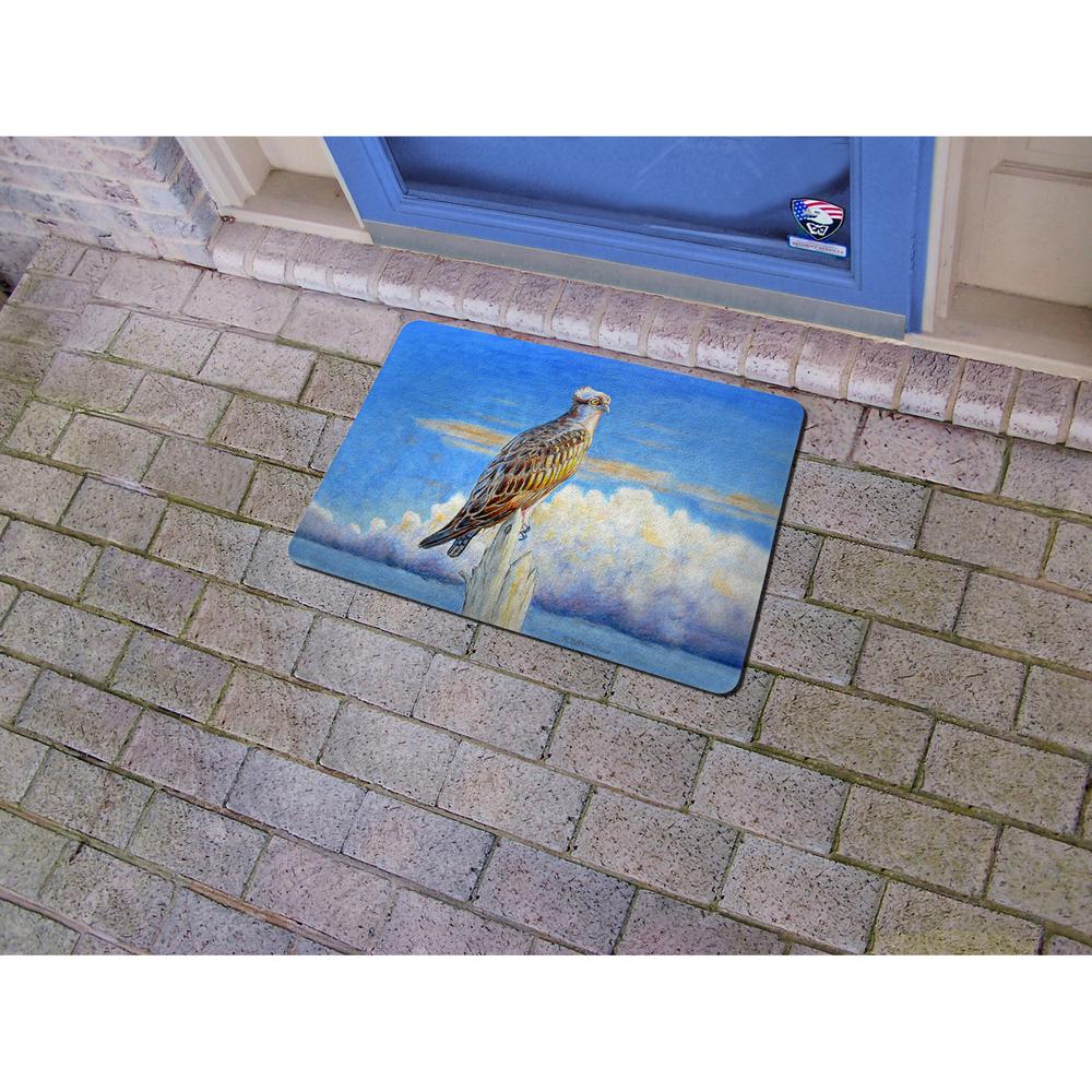 Osprey Storm Door Mat 18x26. Picture 2