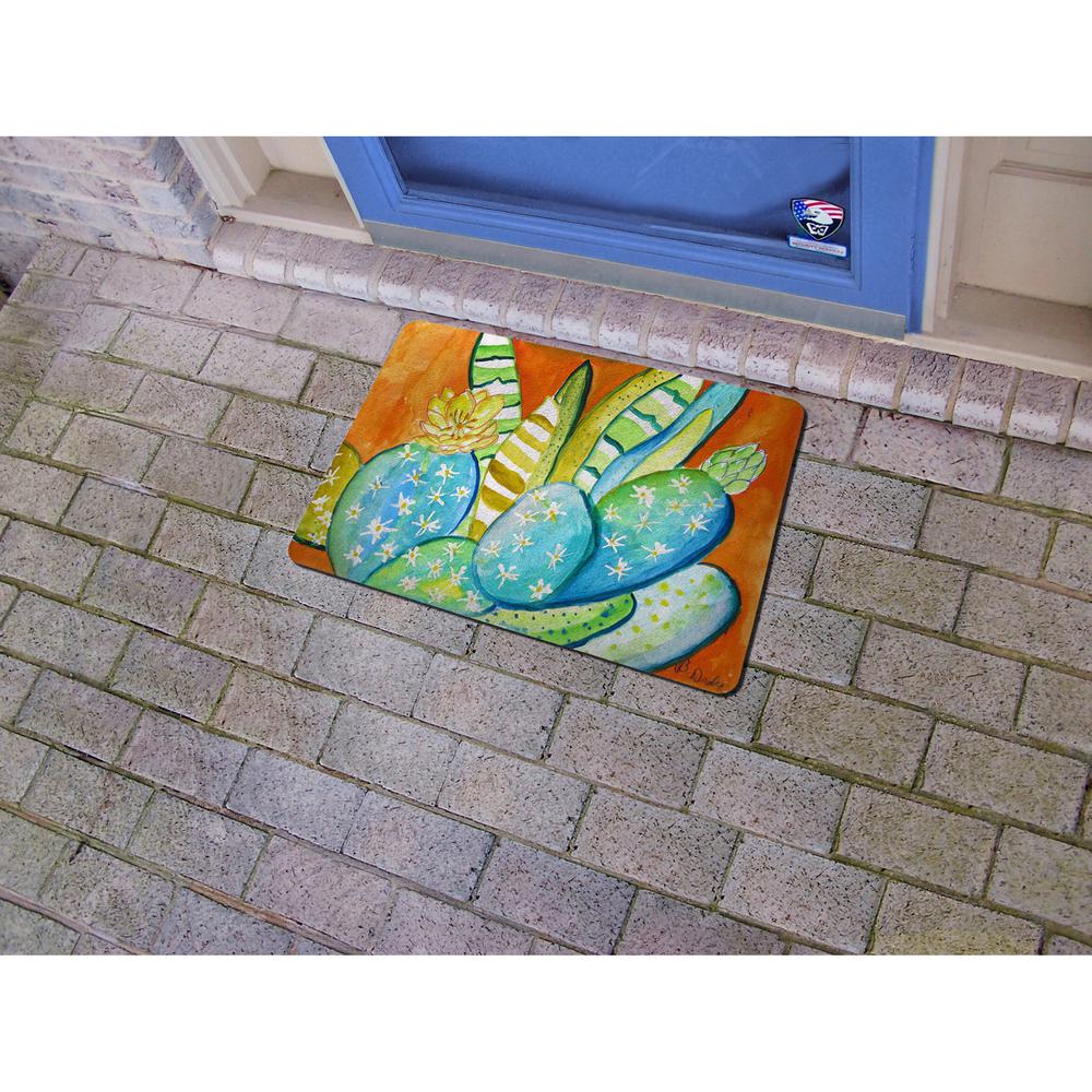 Cactus III Door Mat 18x26. Picture 2