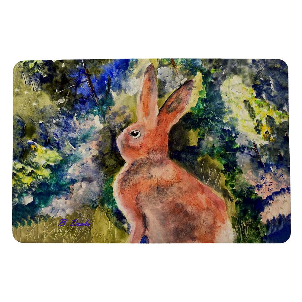 Cottontail Rabbit Door Mat 18x26. Picture 1