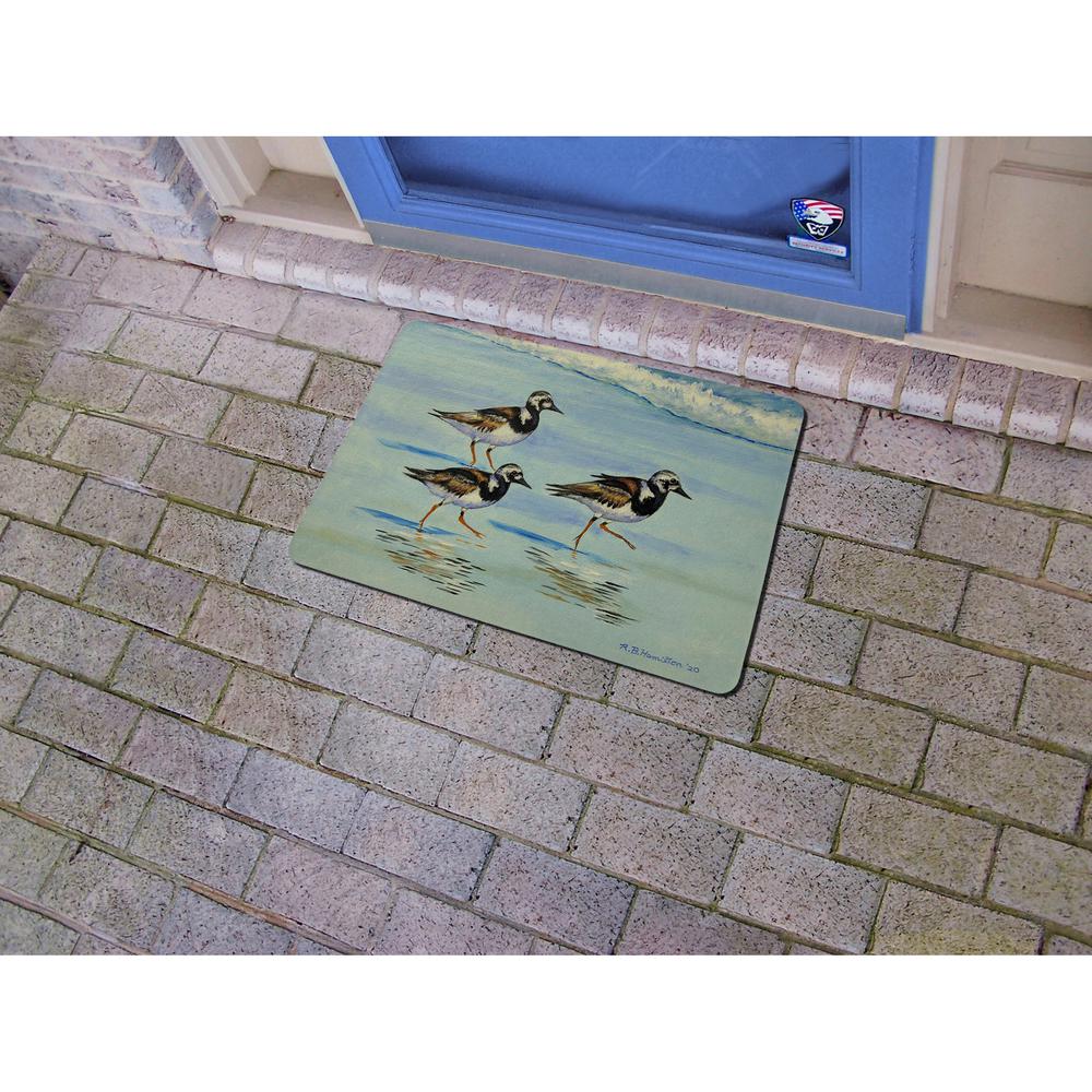 Ruddy Turnstones Small Door Mat. Picture 2