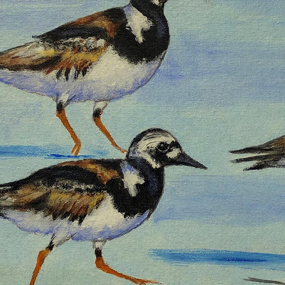 Ruddy Turnstones Small Door Mat. Picture 3