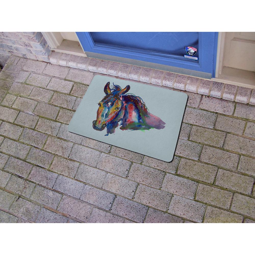 Nellie Door Mat 18x26. Picture 2