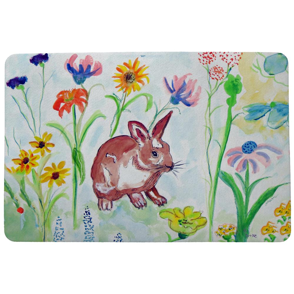 Whiskers Door Mat 18x26. Picture 1