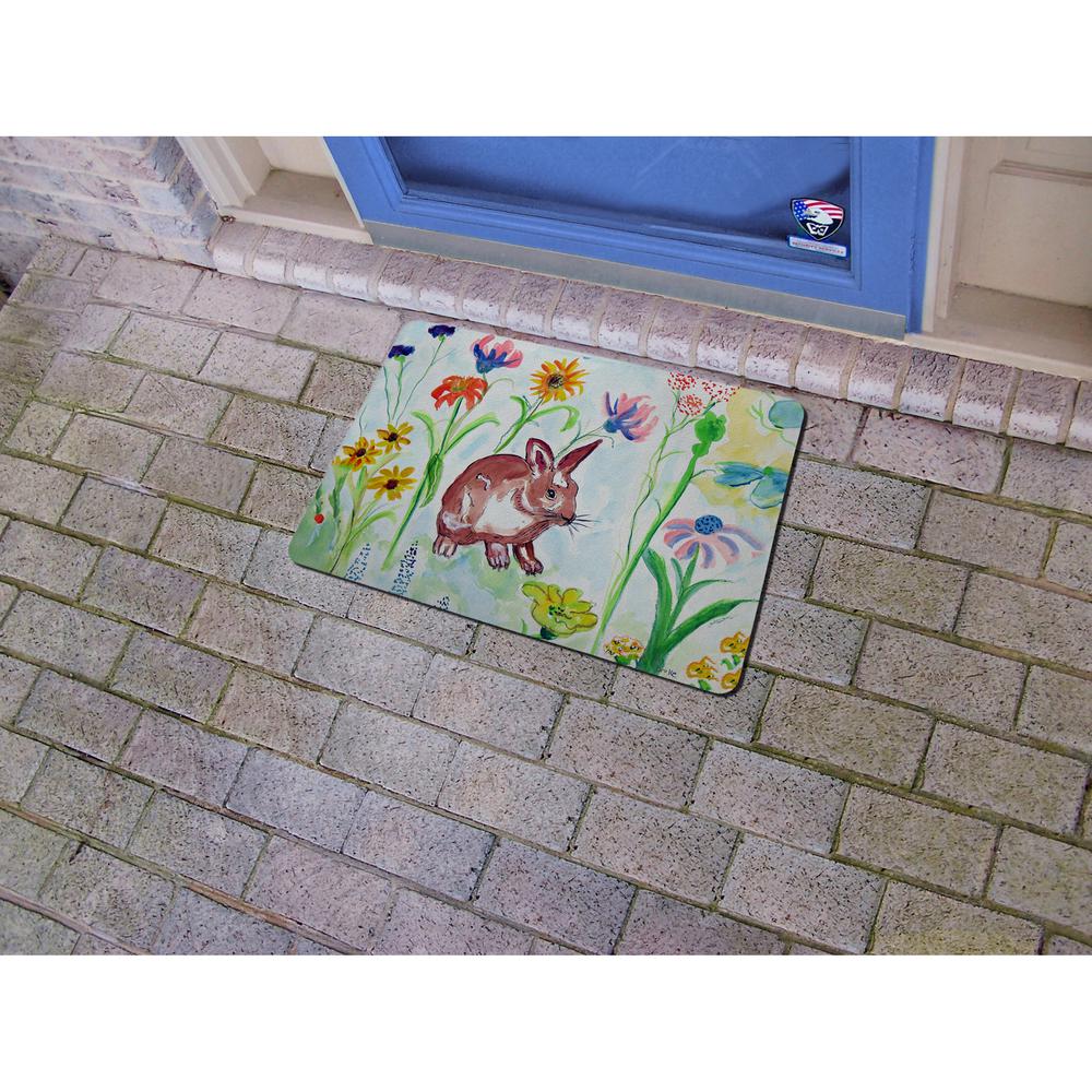 Whiskers Door Mat 18x26. Picture 2