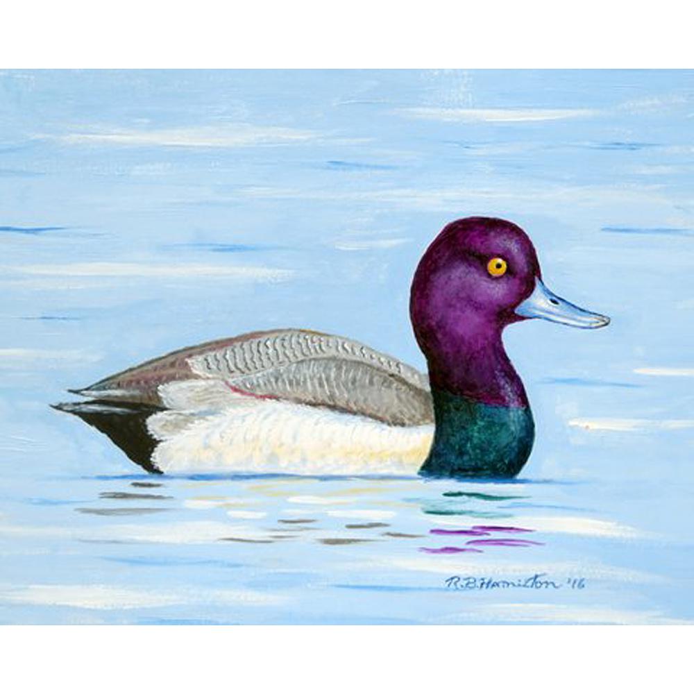 Lesser Scaup Door Mat 18x26. Picture 1