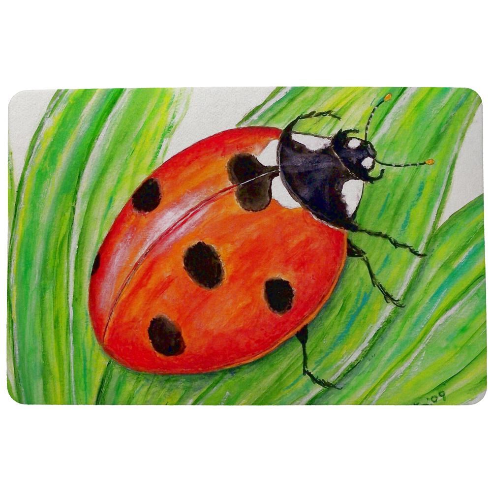 Lady Bug Door Mat 18x26. Picture 1