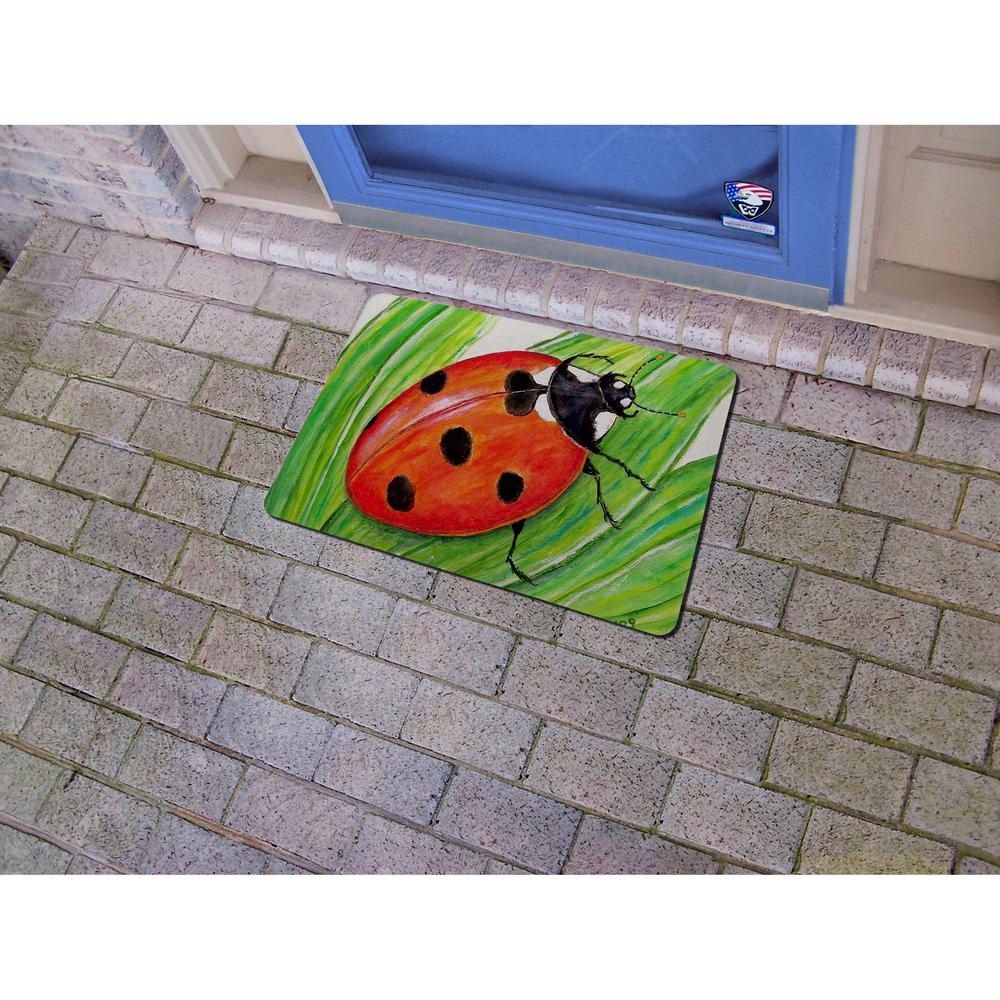 Lady Bug Door Mat 18x26. Picture 2