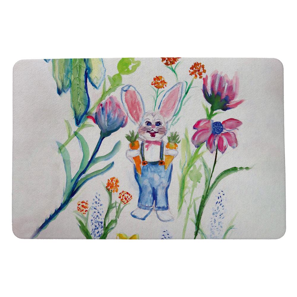 Mr Farmer Door Mat 18x26. Picture 1