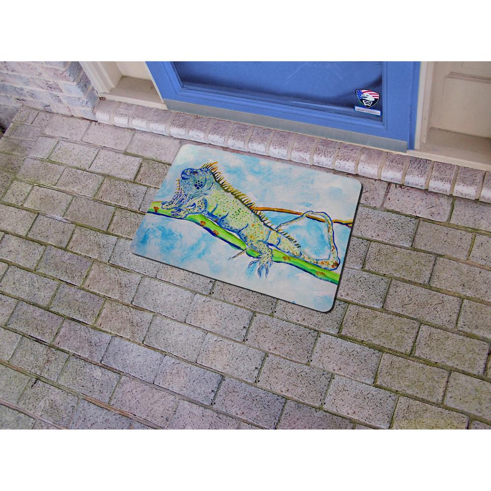 Iguana Door Mat 18x26. Picture 2