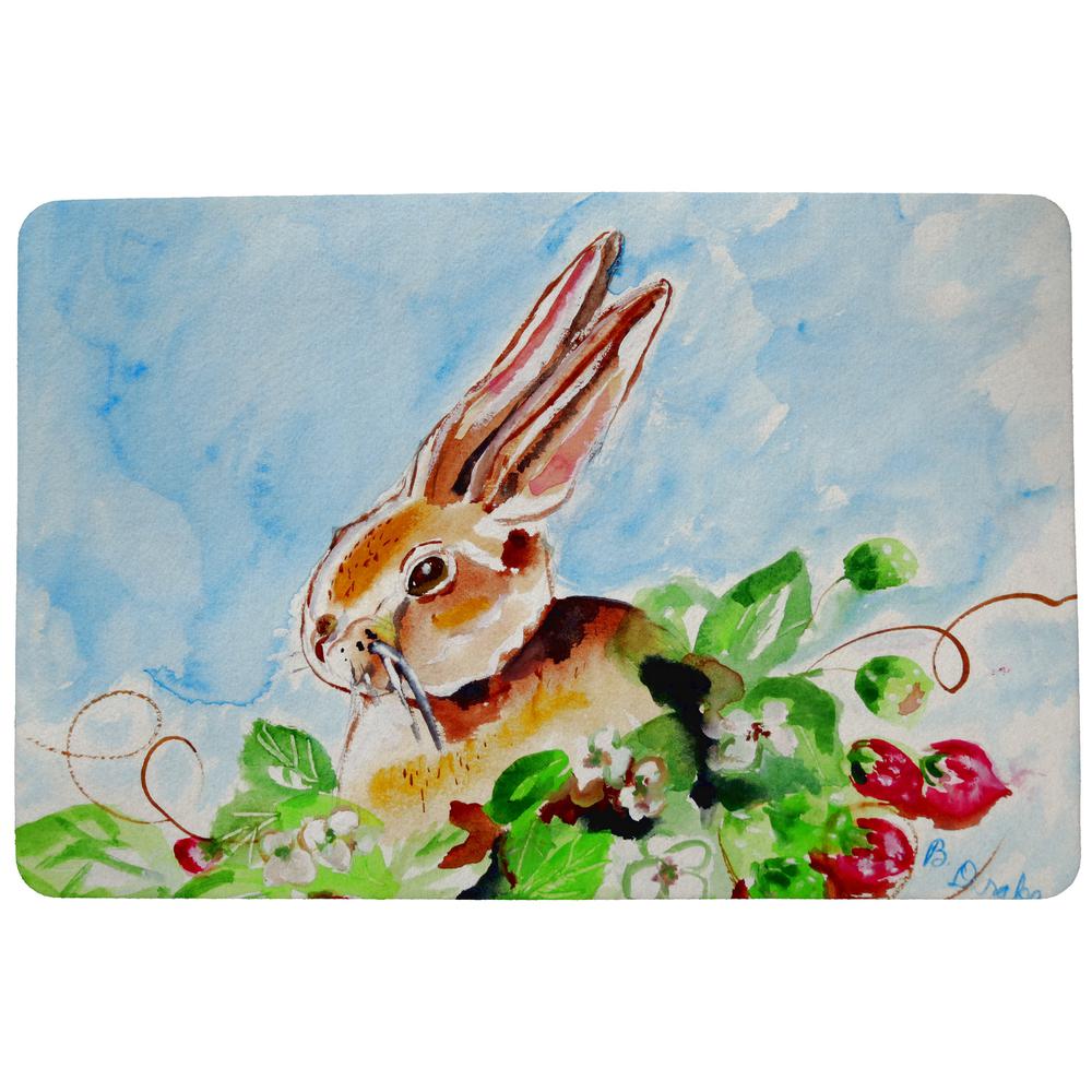 Jack Rabbit Left Door Mat 18x26. Picture 1
