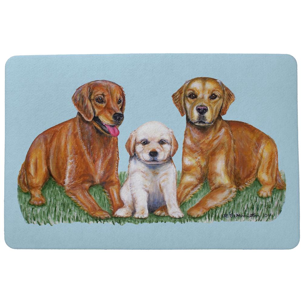 Golden Retriever Door Mat 18x26. Picture 1