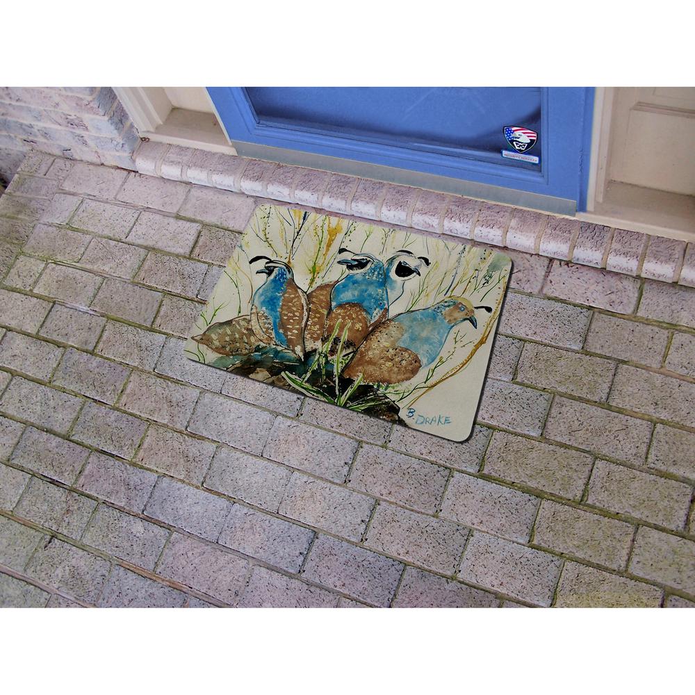 Partridges Door Mat 18x26. Picture 2