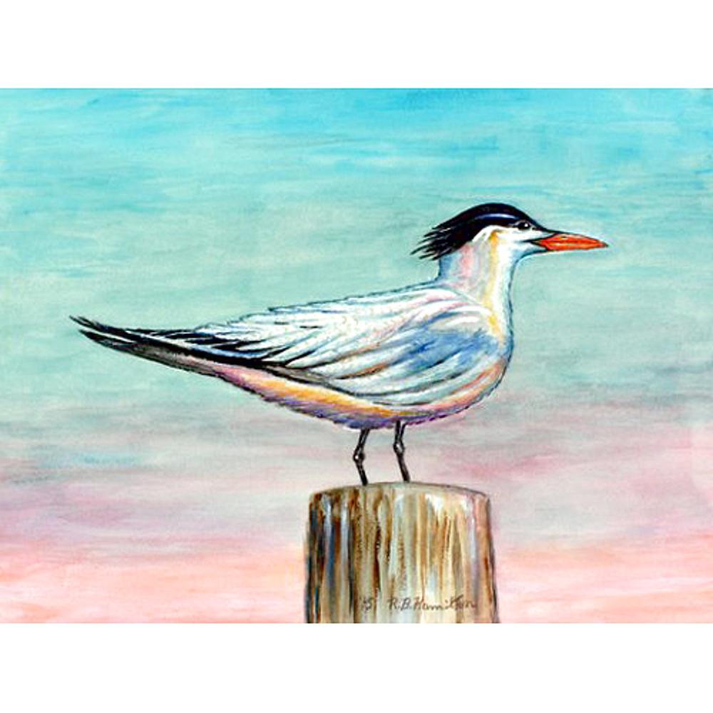 Royal Tern Door Mat 18x26. Picture 1