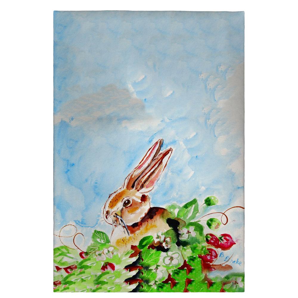 Jack Rabbit Lt Guest Towel. Picture 1