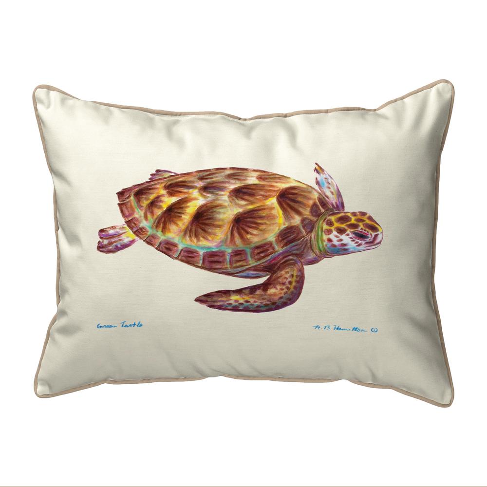 Green Sea Turtle Large Indoor/Outdoor Pillow 16x20. Picture 1