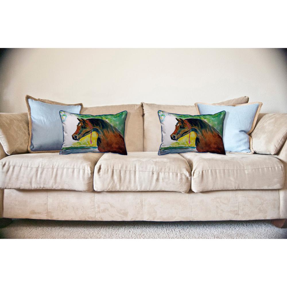 Prize Horse Large Indoor/Outdoor Pillow 16x20. Picture 3