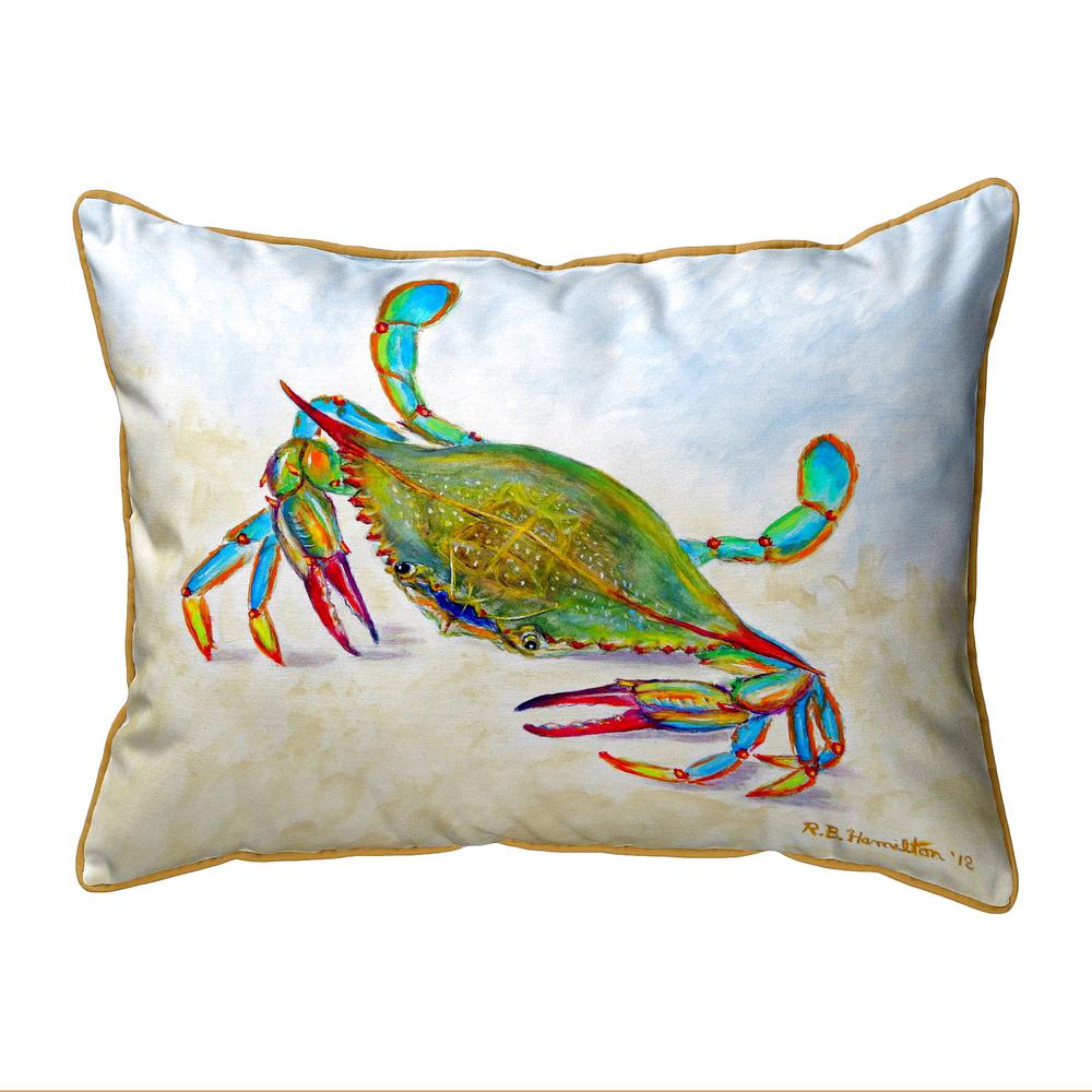 More Than Blue Large Indoor/Outdoor Pillow 16x20. Picture 1