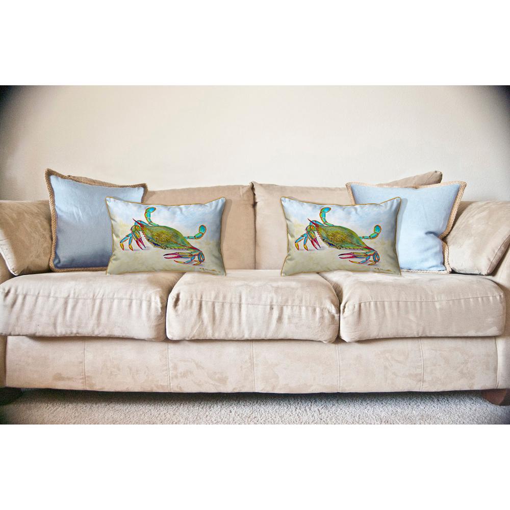 More Than Blue Large Indoor/Outdoor Pillow 16x20. Picture 3