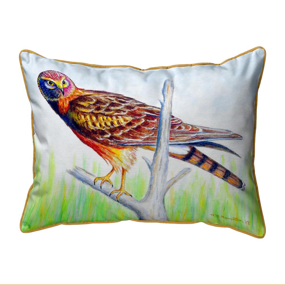 Marsh Hawk Large Indoor/Outdoor Pillow 16x20. Picture 1
