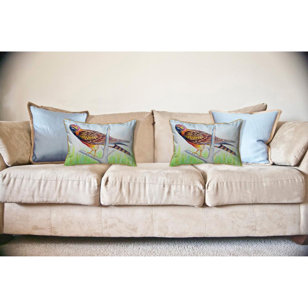 Marsh Hawk Large Indoor/Outdoor Pillow 16x20. Picture 3