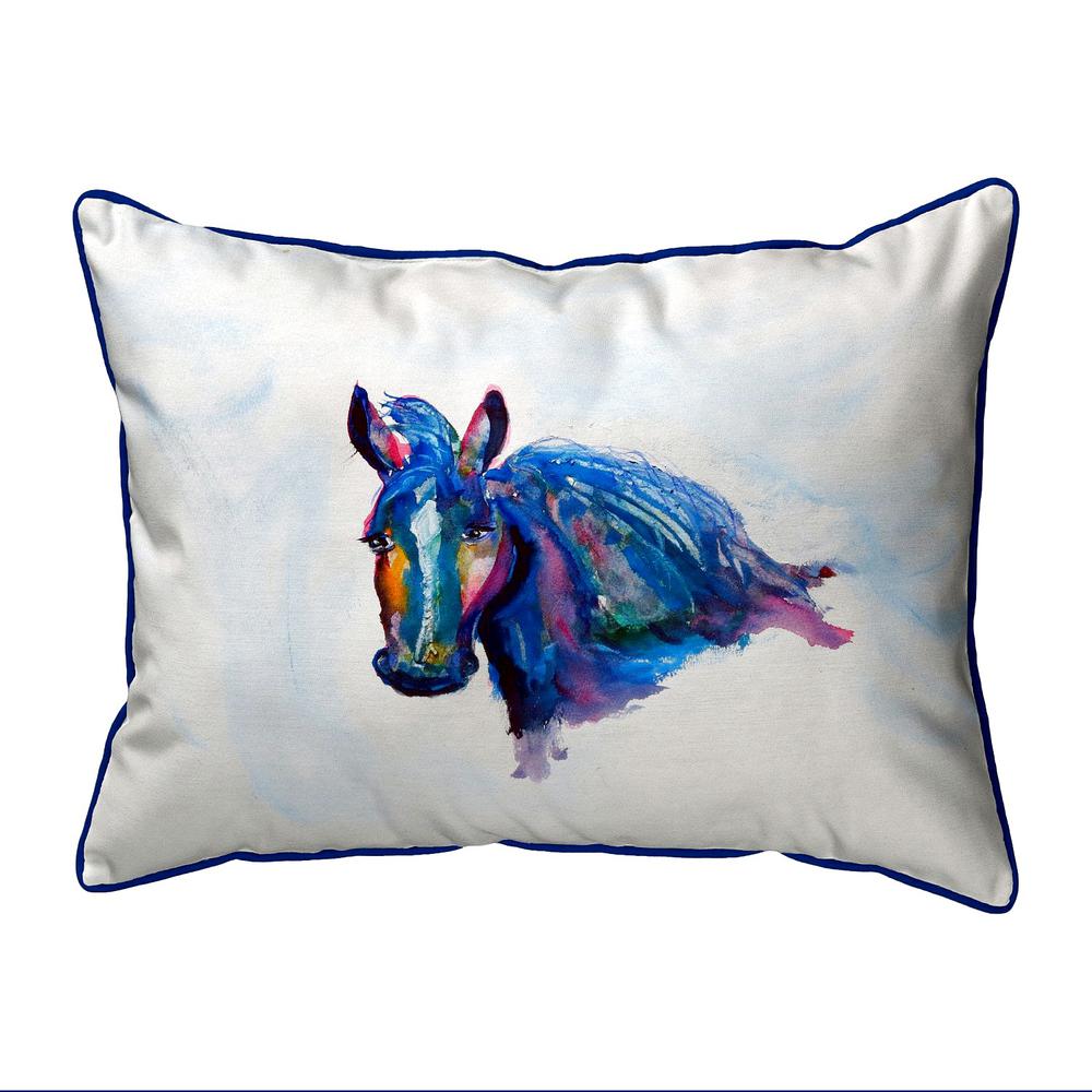 Old Mare Large Indoor/Outdoor Pillow 16x20. Picture 1