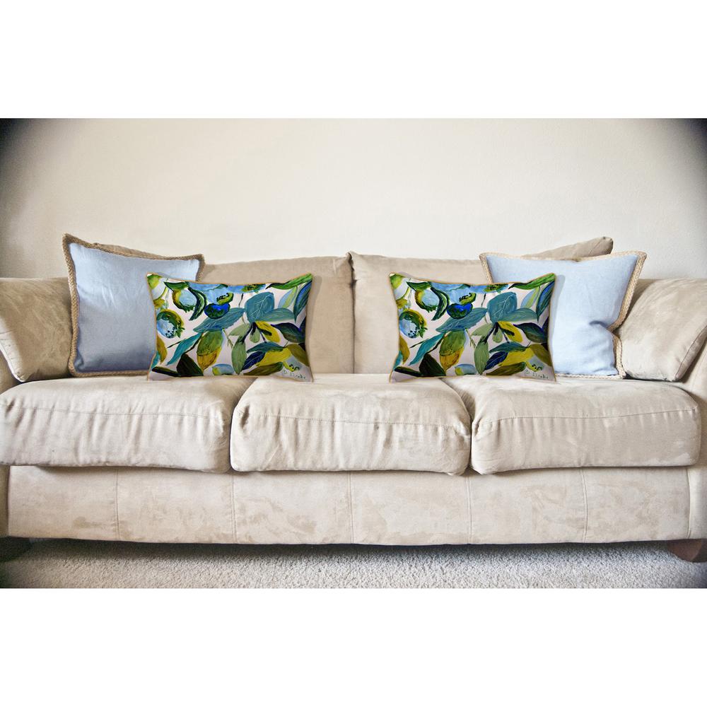 Blueberries Large Indoor/Outdoor Pillow 16x20. Picture 3