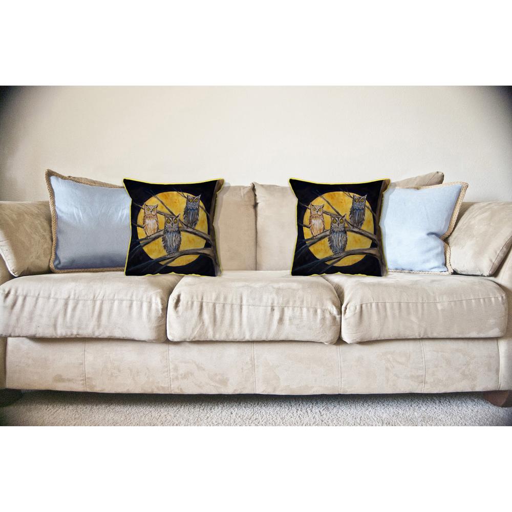 Night Owls Large Indoor/Outdoor Pillow 18x18. Picture 3