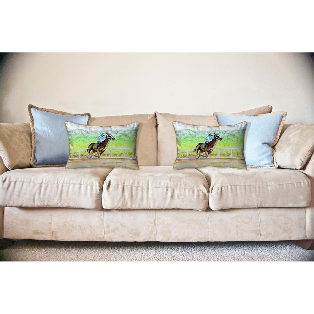 Home Stretch Large Indoor/Outdoor Pillow 16x20. Picture 3