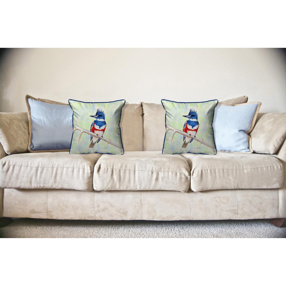 Kingfisher Large Indoor/Outdoor Pillow 18x18. Picture 3