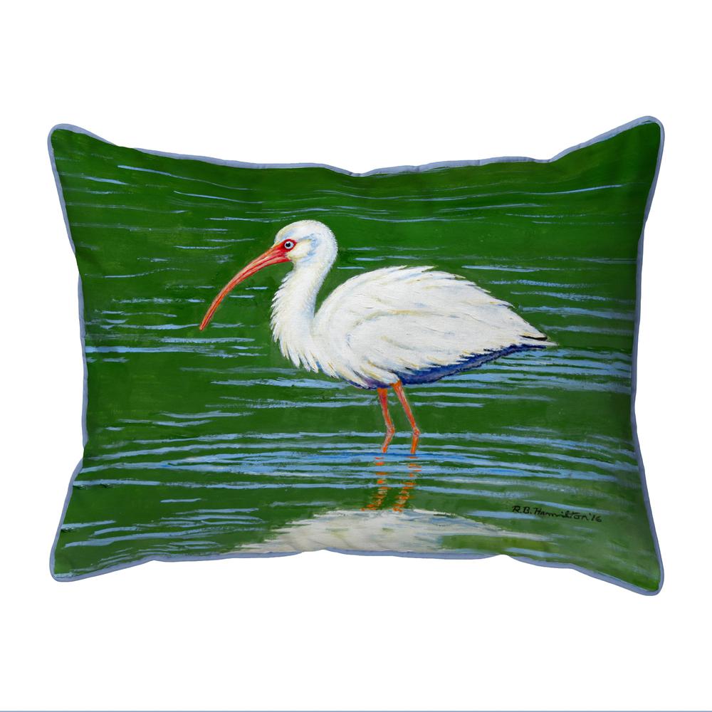 Dick's White Ibis Large Indoor/Outdoor Pillow 16x20. Picture 1