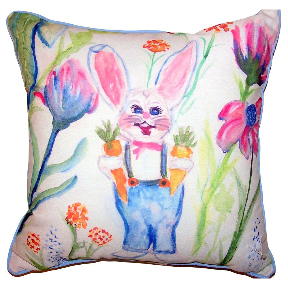 Mr. Farmer Large Indoor/Outdoor Pillow 18x18. Picture 1