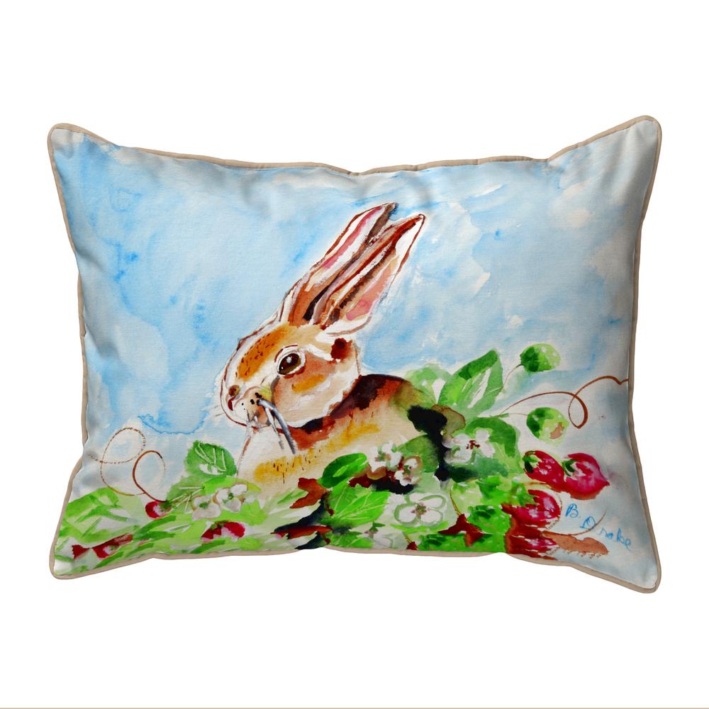 Jack Rabbit Left Large Pillow 16x20. Picture 1