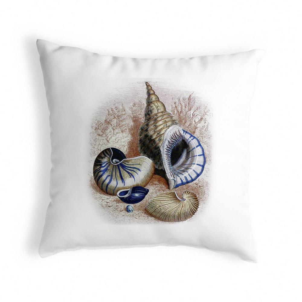 Grouped Shells Antique Print Small Noncorded Pillow. Picture 1