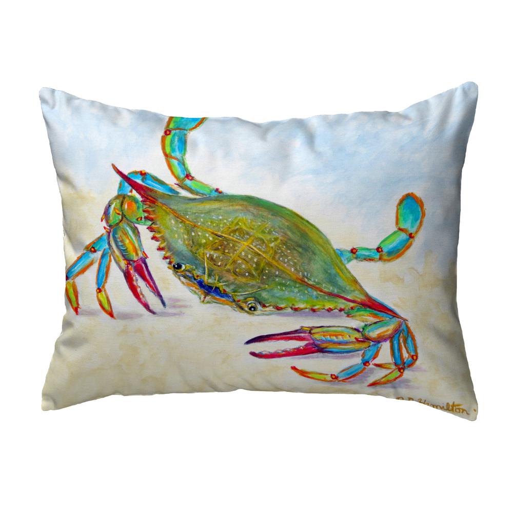 More Than Blue Noncorded Indoor/Outdoor Pillow 11x14. Picture 1