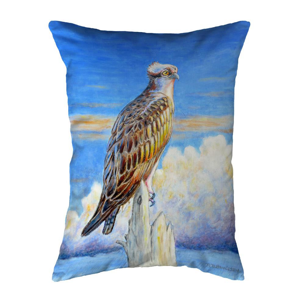 Osprey Storm Noncorded Indoor/Outdoor Pillow 11x14. Picture 1
