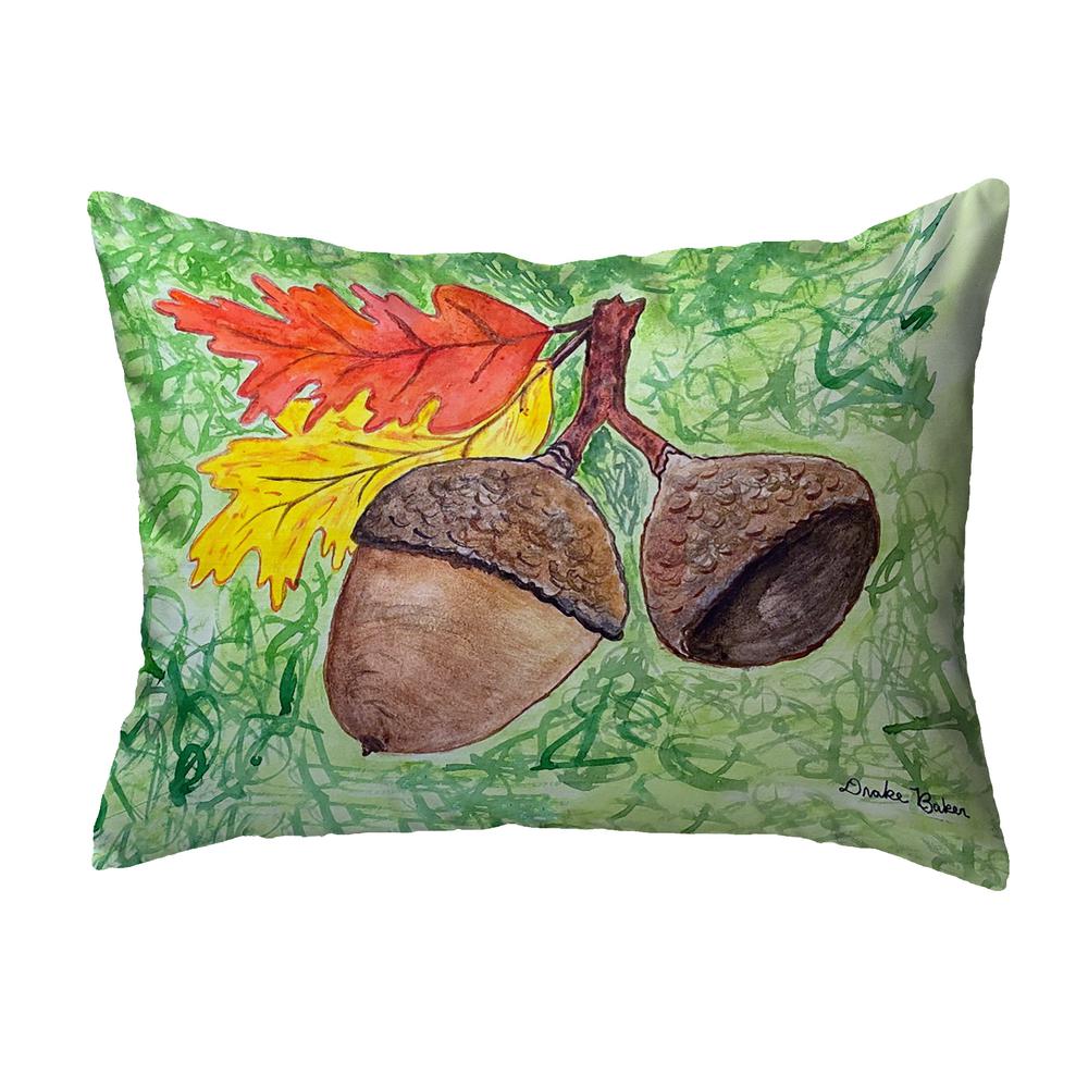 Drake's Acorns Small Noncorded Pillow 11x14. Picture 1
