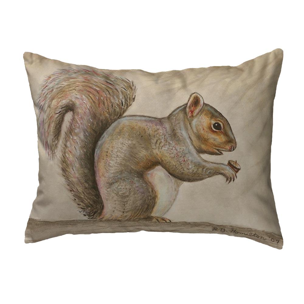 Squirrel Small No-Cord Pillow 11x14. Picture 1