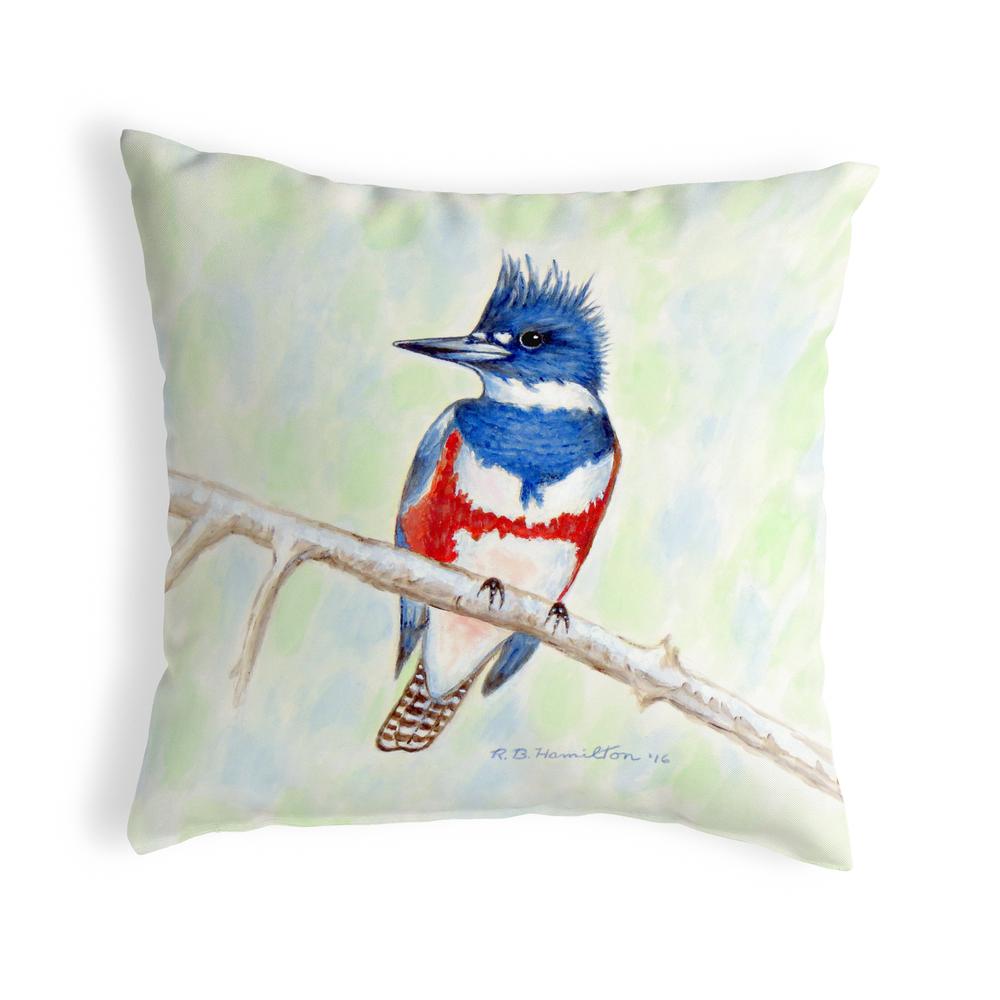 Kingfisher Small No-Cord Pillow 12x12. Picture 1