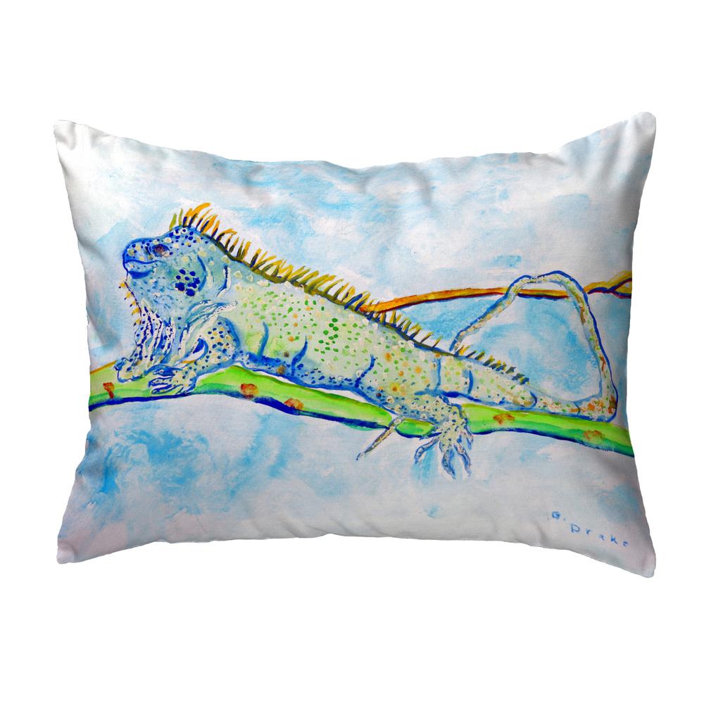 Iguana Small No-Cord Pillow 11x14. Picture 1