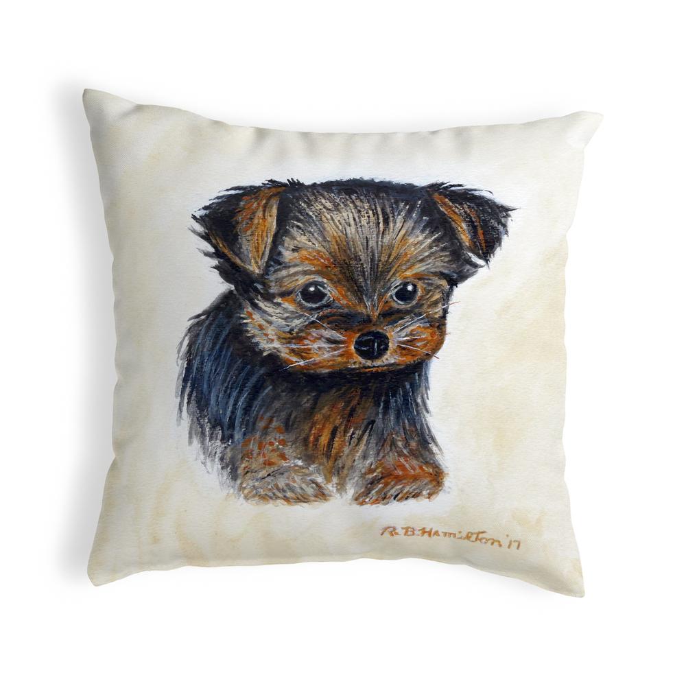 Tauris Small No-Cord Pillow 12x12. Picture 1