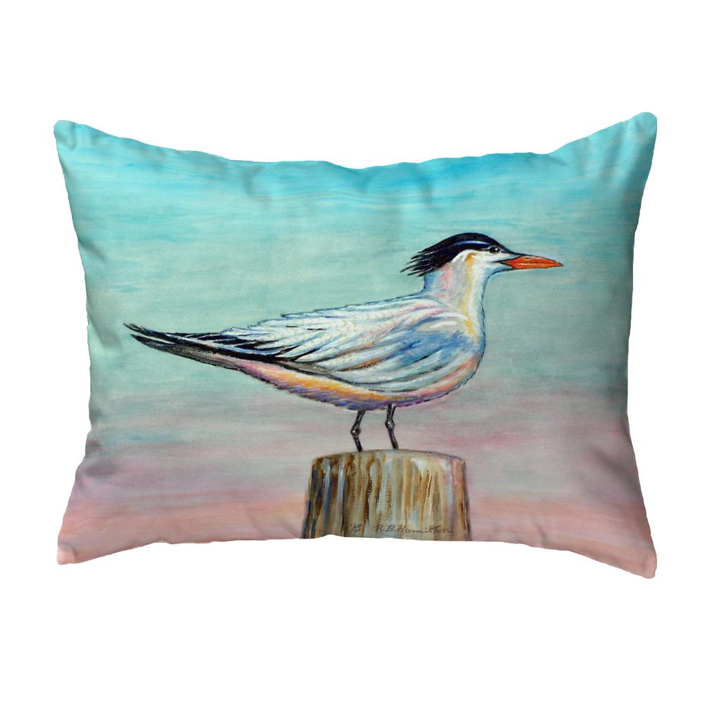 Royal Tern Small No-Cord Pillow 11x14. Picture 1